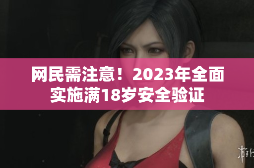 网民需注意！2023年全面实施满18岁安全验证