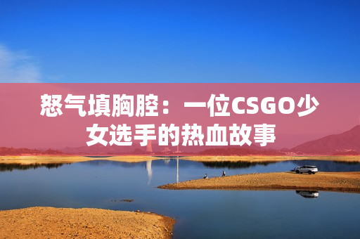 怒气填胸腔：一位CSGO少女选手的热血故事