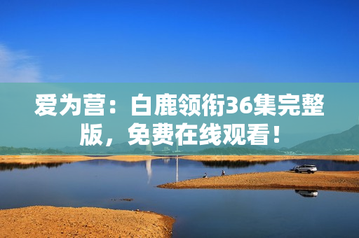 爱为营：白鹿领衔36集完整版，免费在线观看！