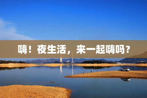 嗨！夜生活，来一起嗨吗？