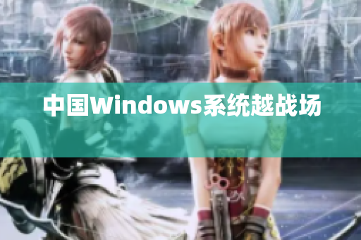 中国Windows系统越战场　
