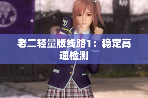 老二轻量版线路1：稳定高速检测