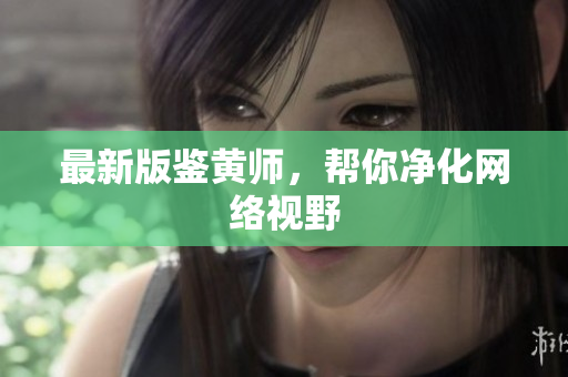最新版鉴黄师，帮你净化网络视野