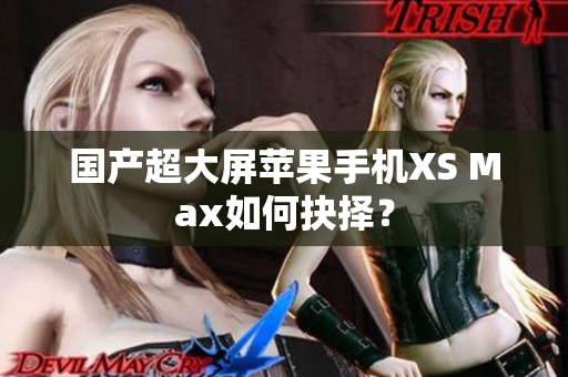 国产超大屏苹果手机XS Max如何抉择？