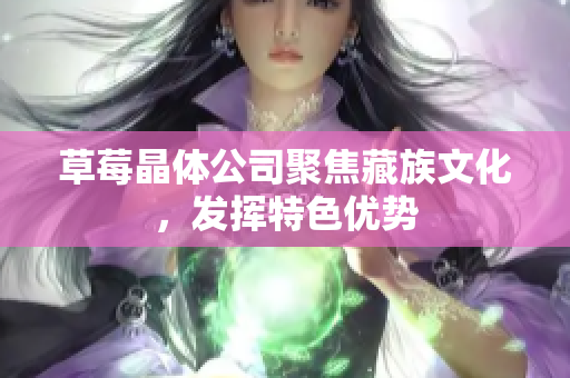 草莓晶体公司聚焦藏族文化，发挥特色优势