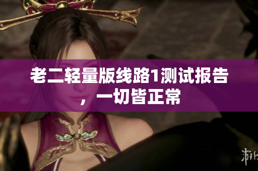 老二轻量版线路1测试报告，一切皆正常