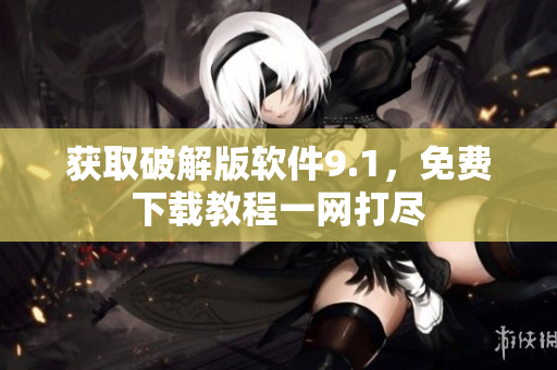 获取破解版软件9.1，免费下载教程一网打尽