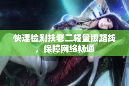 快速检测扶老二轻量版路线，保障网络畅通