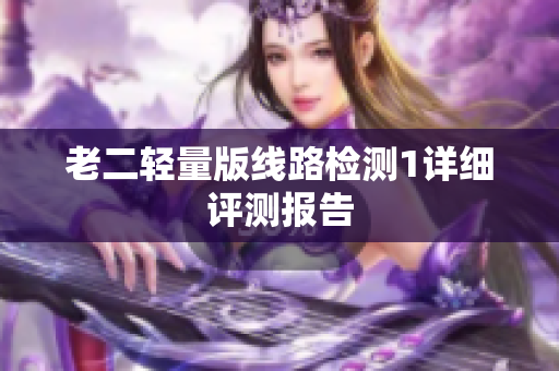 老二轻量版线路检测1详细评测报告