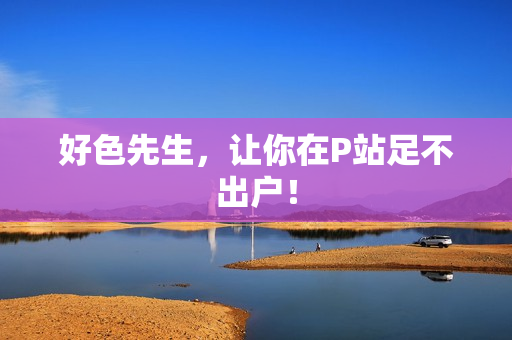 好色先生，让你在P站足不出户！