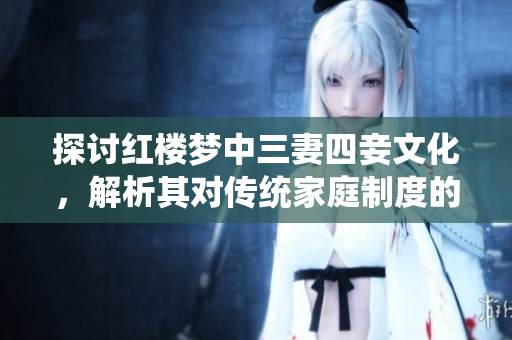 探讨红楼梦中三妻四妾文化，解析其对传统家庭制度的影响
