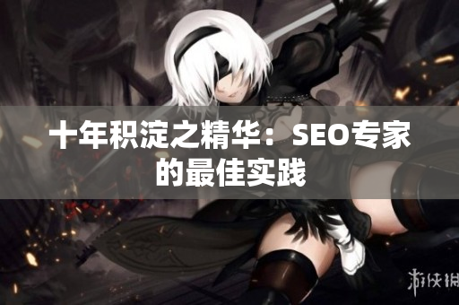 十年积淀之精华：SEO专家的最佳实践