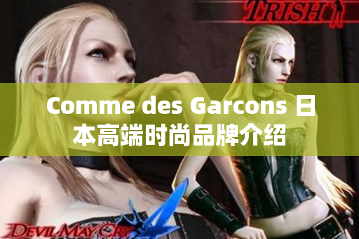 Comme des Garcons 日本高端时尚品牌介绍