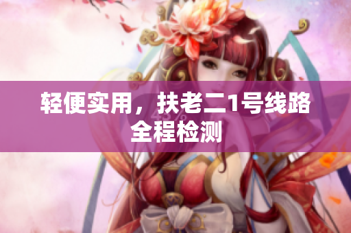 轻便实用，扶老二1号线路全程检测