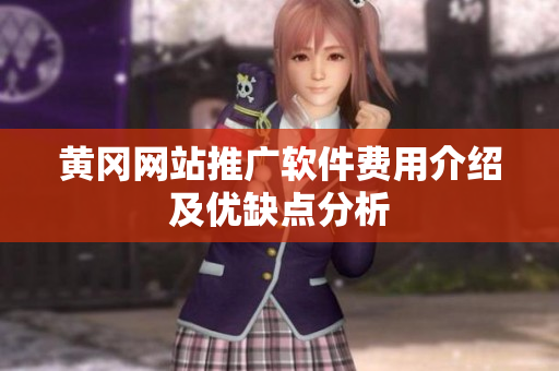 黄冈网站推广软件费用介绍及优缺点分析