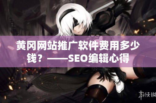 黄冈网站推广软件费用多少钱？——SEO编辑心得