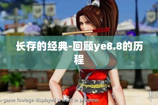 长存的经典-回顾ye8.8的历程