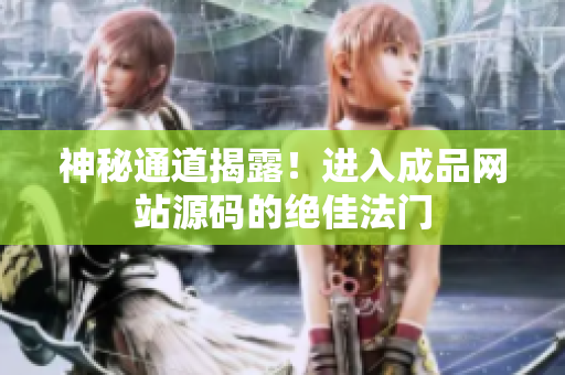 神秘通道揭露！进入成品网站源码的绝佳法门