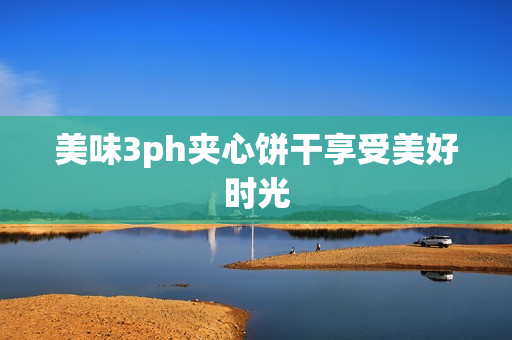 美味3ph夹心饼干享受美好时光