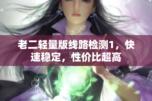 老二轻量版线路检测1，快速稳定，性价比超高
