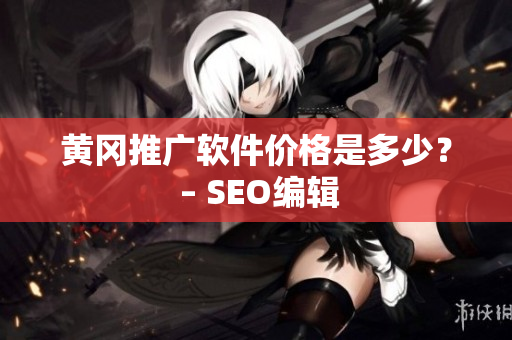 黄冈推广软件价格是多少？ – SEO编辑