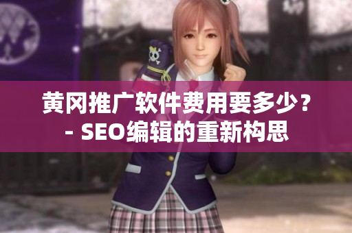 黄冈推广软件费用要多少？- SEO编辑的重新构思