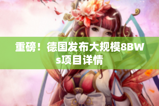 重磅！德国发布大规模8BWs项目详情