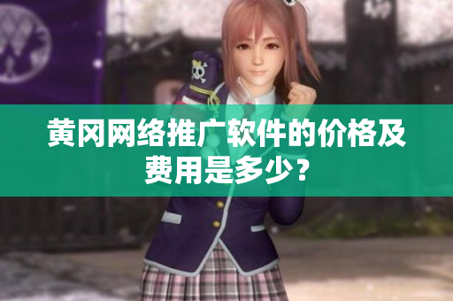 黄冈网络推广软件的价格及费用是多少？