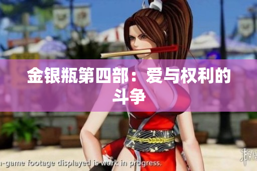 金银瓶第四部：爱与权利的斗争