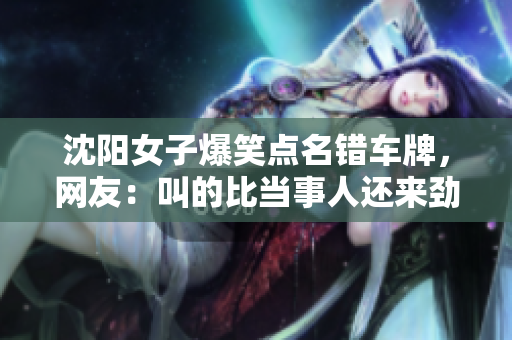 沈阳女子爆笑点名错车牌，网友：叫的比当事人还来劲！