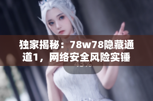 独家揭秘：78w78隐藏通道1，网络安全风险实锤