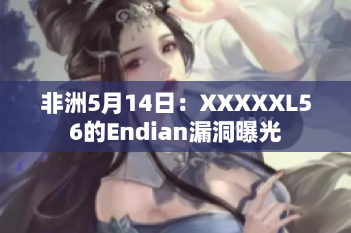 非洲5月14日：XXXXXL56的Endian漏洞曝光