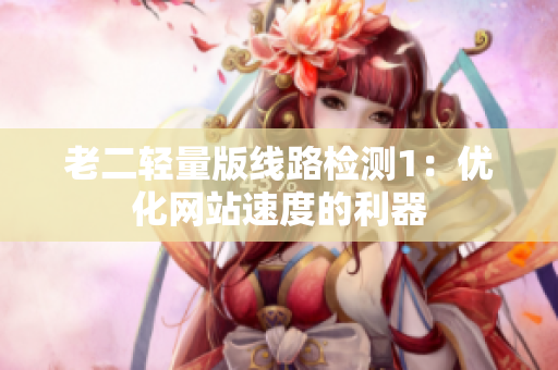 老二轻量版线路检测1：优化网站速度的利器