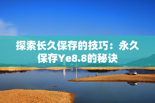 探索长久保存的技巧：永久保存Ye8.8的秘诀