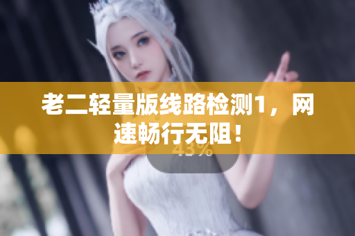 老二轻量版线路检测1，网速畅行无阻！