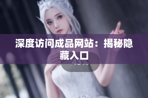 深度访问成品网站：揭秘隐藏入口