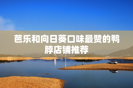 芭乐和向日葵口味最赞的鸭脖店铺推荐