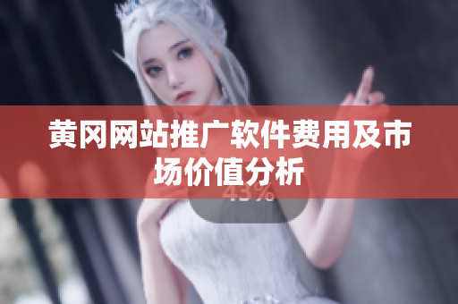 黄冈网站推广软件费用及市场价值分析