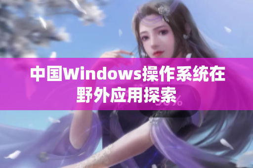中国Windows操作系统在野外应用探索