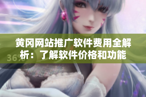 黄冈网站推广软件费用全解析：了解软件价格和功能