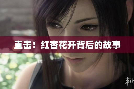 直击！红杏花开背后的故事