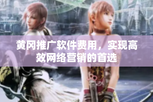 黄冈推广软件费用，实现高效网络营销的首选
