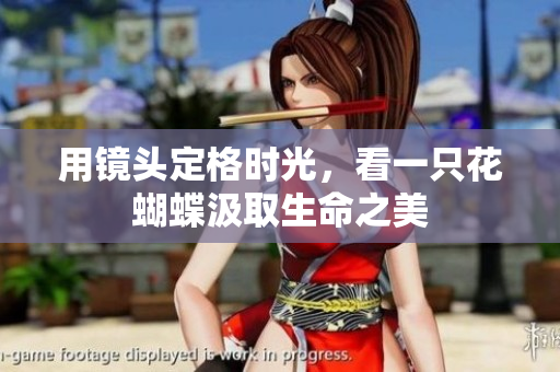 用镜头定格时光，看一只花蝴蝶汲取生命之美