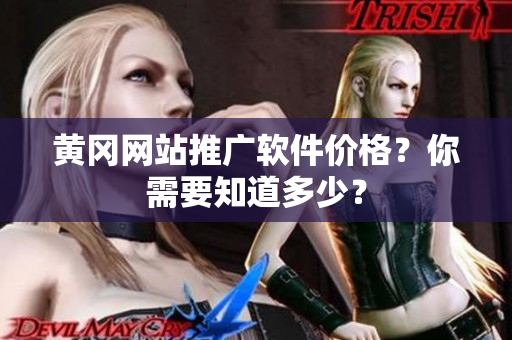 黄冈网站推广软件价格？你需要知道多少？
