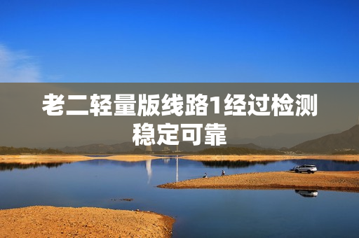 老二轻量版线路1经过检测稳定可靠