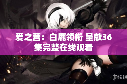 爱之营：白鹿领衔 呈献36集完整在线观看