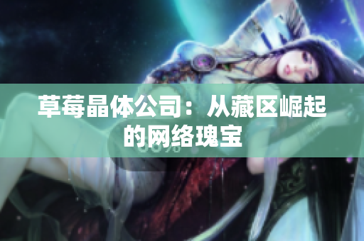 草莓晶体公司：从藏区崛起的网络瑰宝