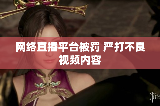 网络直播平台被罚 严打不良视频内容