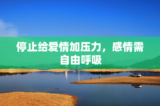 停止给爱情加压力，感情需自由呼吸