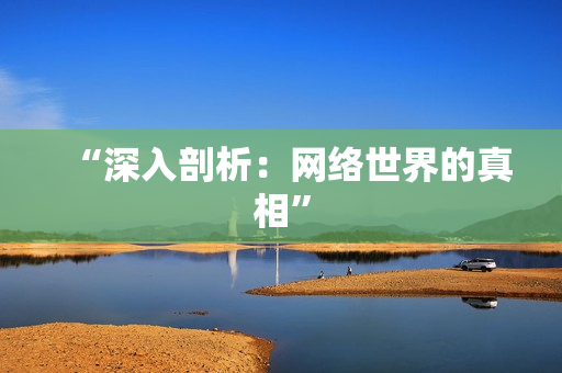 “深入剖析：网络世界的真相”